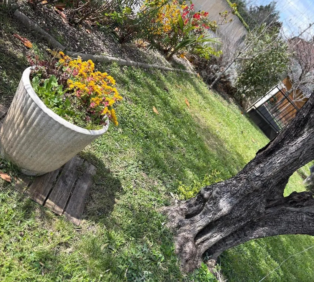 Le Clos De Val Valreas Holiday home